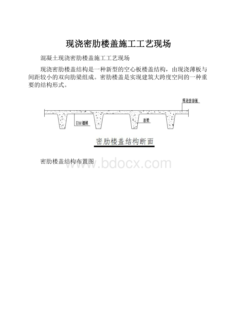 现浇密肋楼盖施工工艺现场.docx