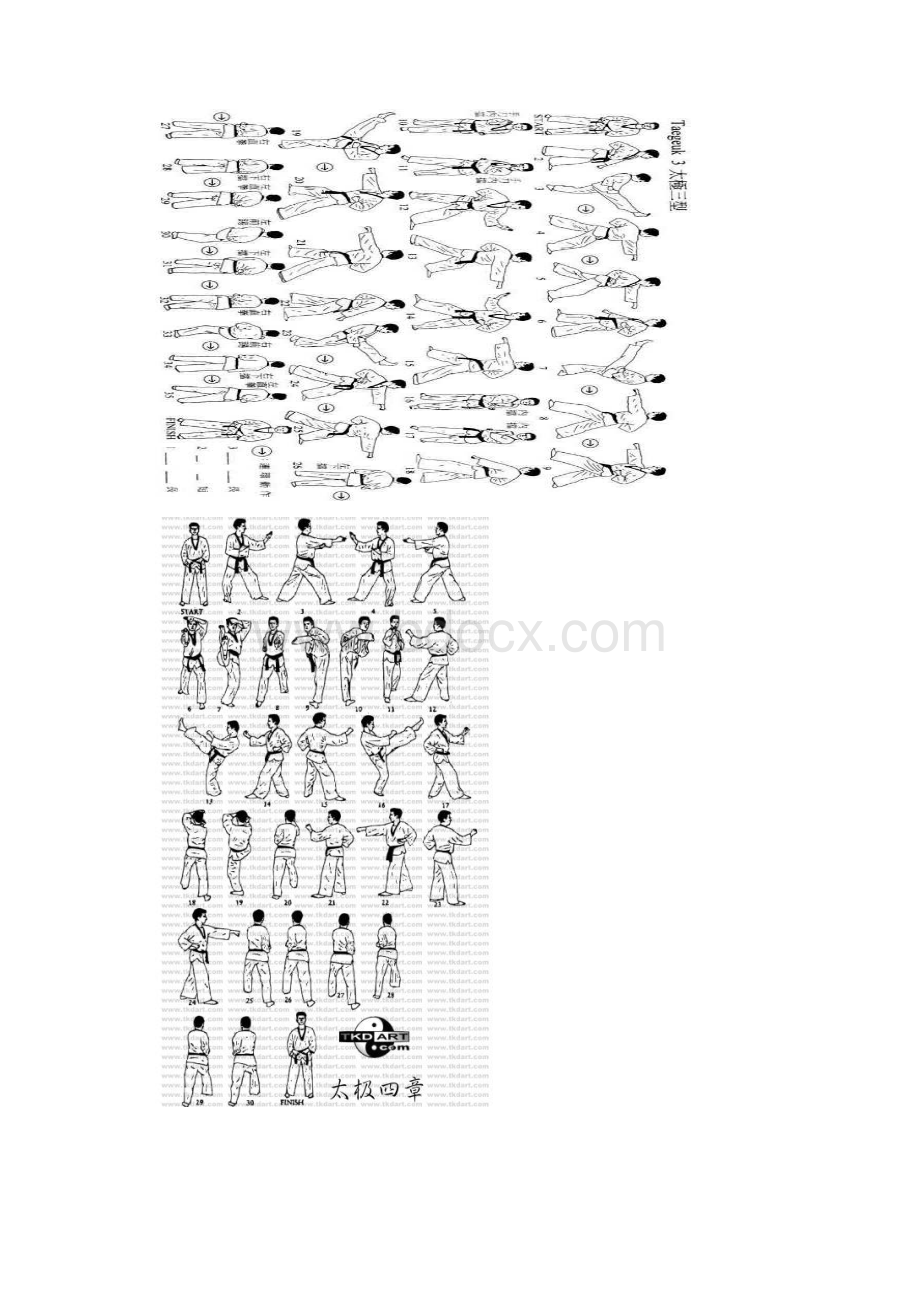 taekwondo 品式Word格式文档下载.docx_第2页