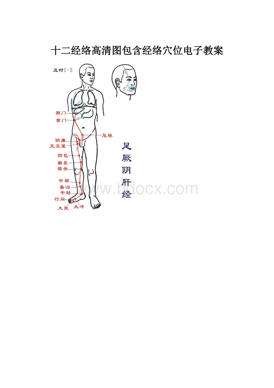 十二经络高清图包含经络穴位电子教案.docx