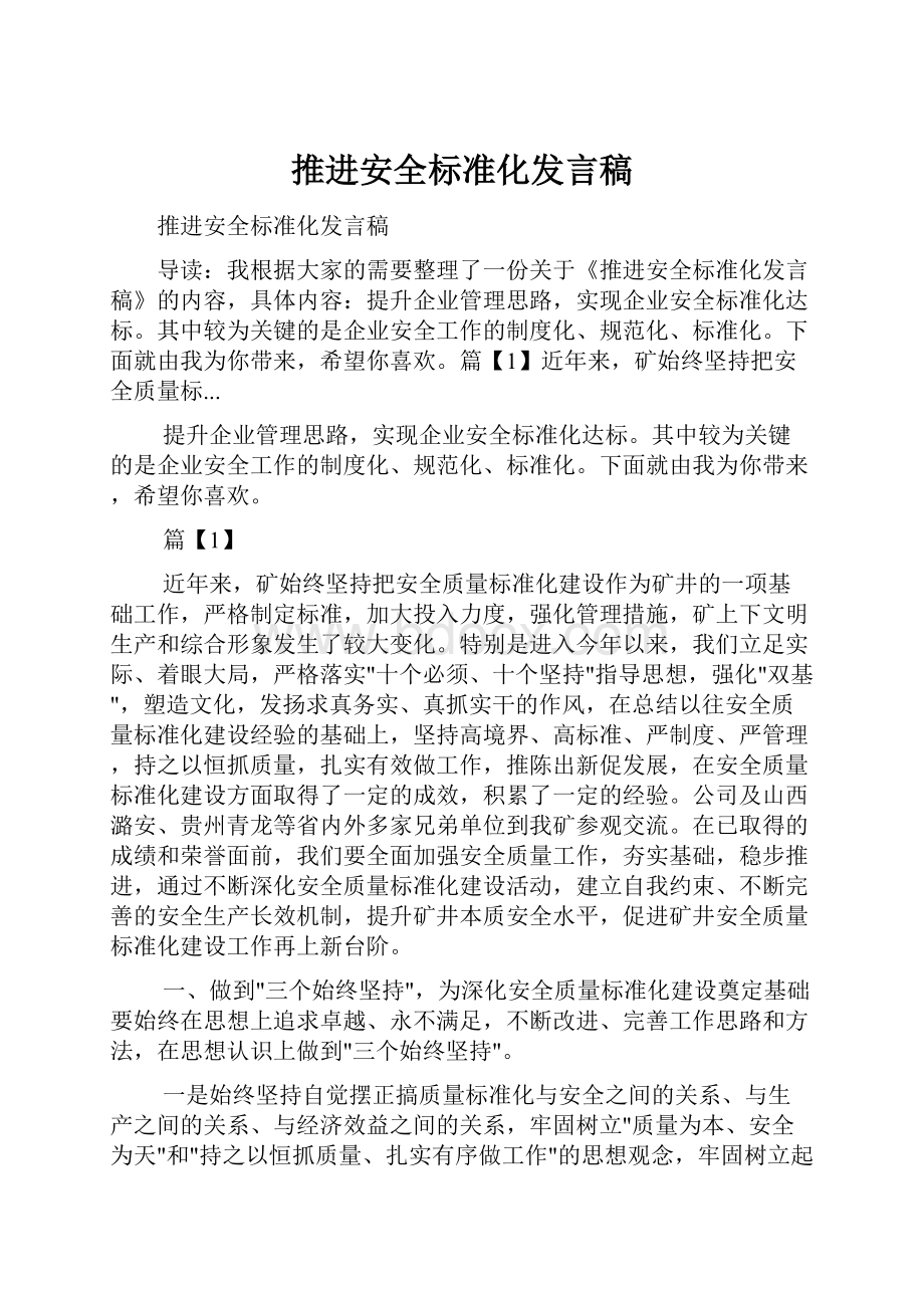 推进安全标准化发言稿Word格式.docx