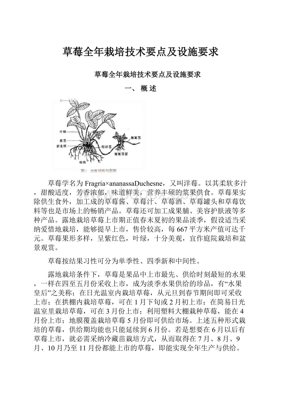 草莓全年栽培技术要点及设施要求文档格式.docx