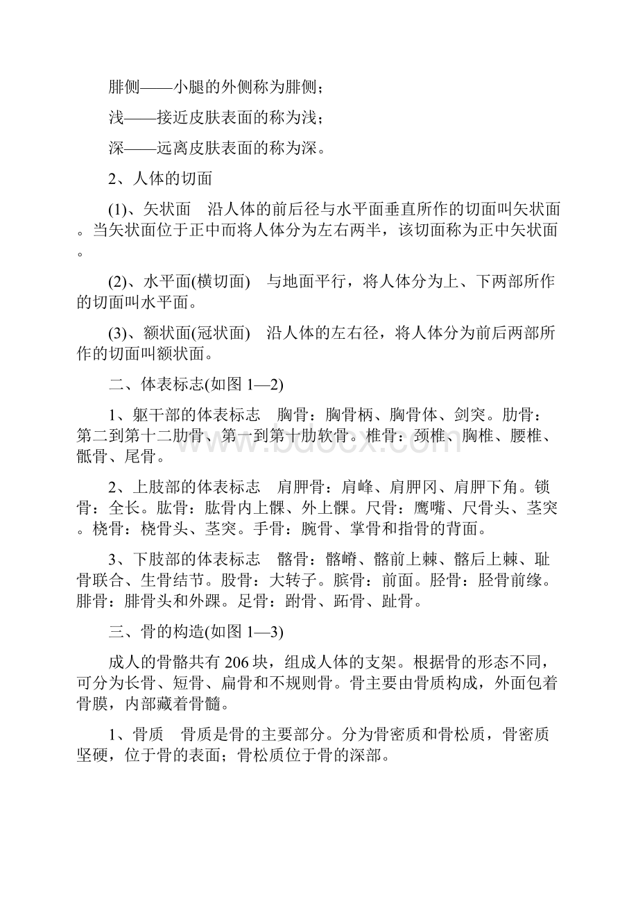 基础人体各部位名称及体表标志Word文档下载推荐.docx_第2页