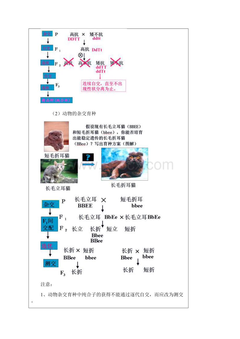 第十六节 杂交育种与诱变育种.docx_第2页