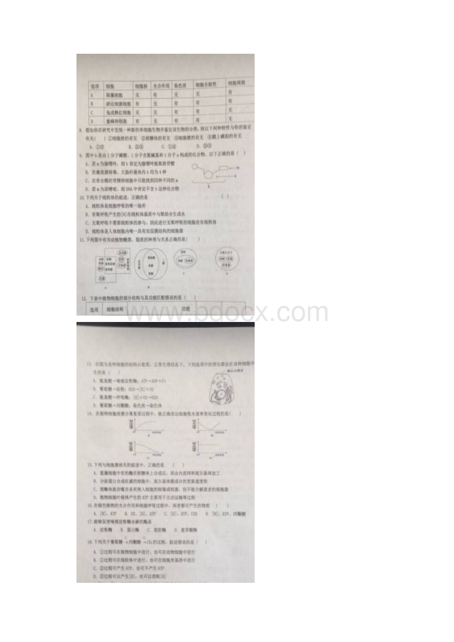 河北省冀州中学学年高一上学期期末考试生物.docx_第2页