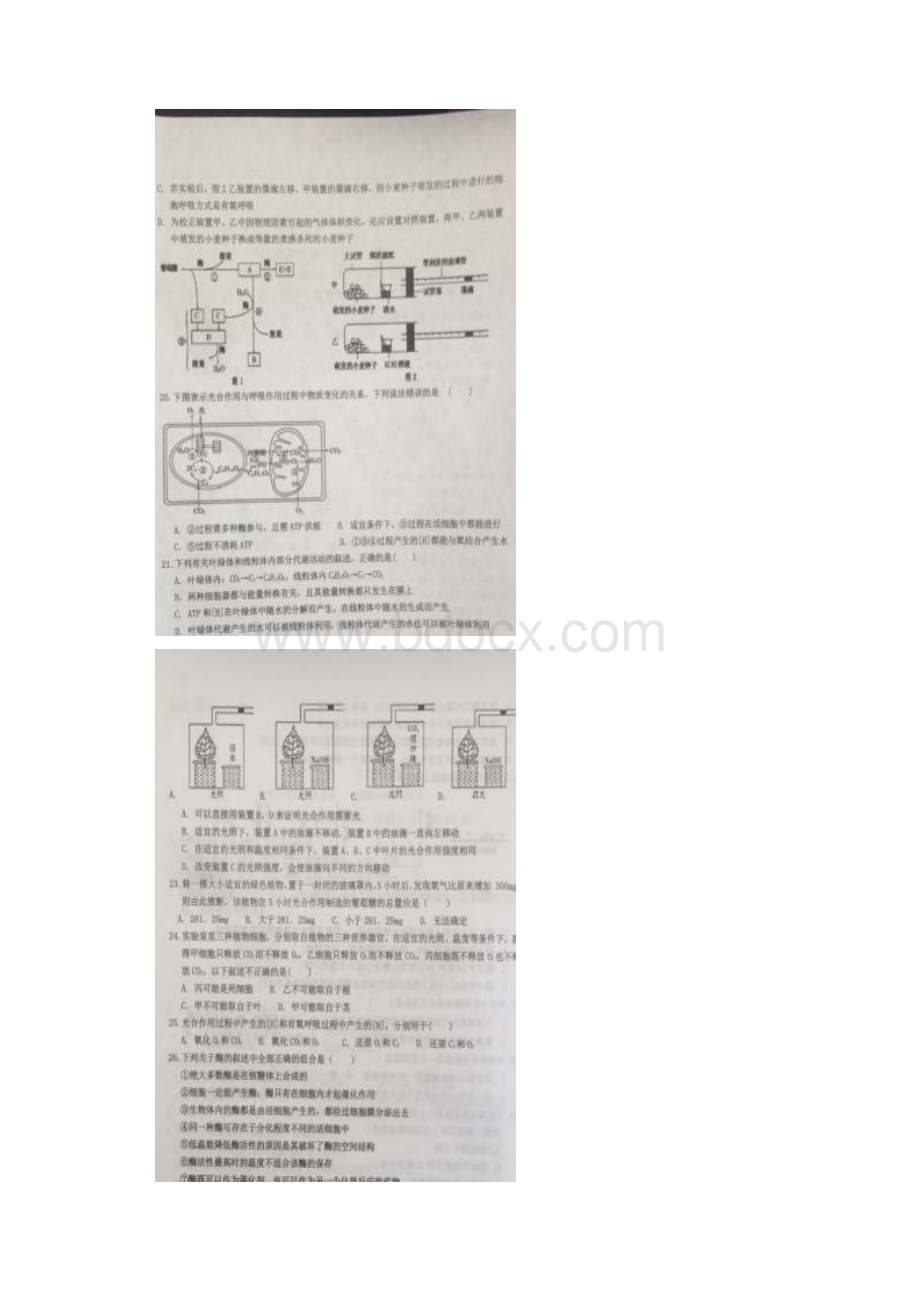 河北省冀州中学学年高一上学期期末考试生物文档格式.docx_第3页