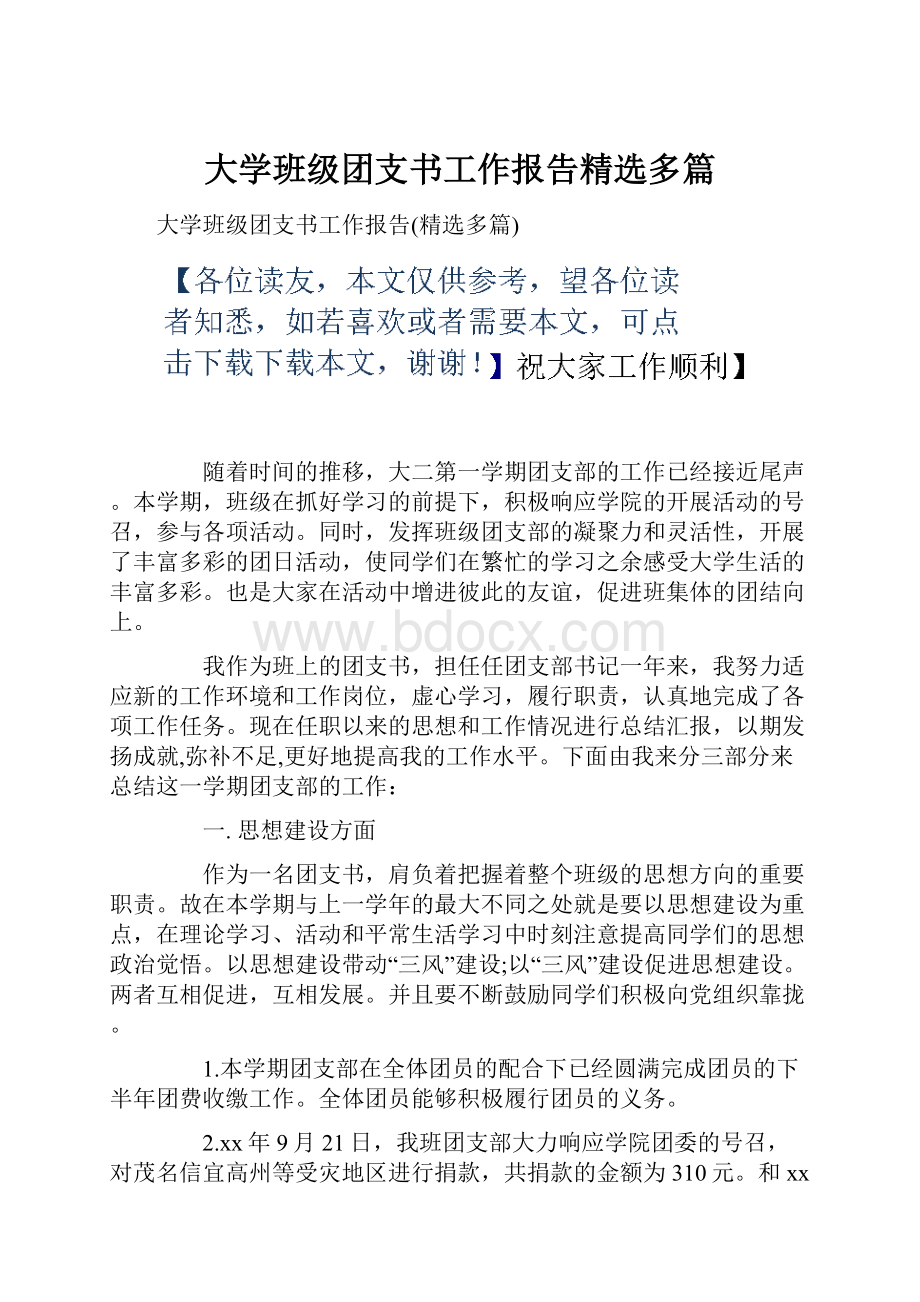 大学班级团支书工作报告精选多篇文档格式.docx_第1页