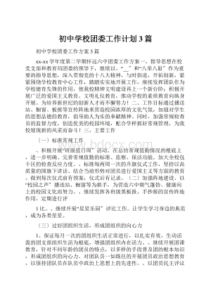 初中学校团委工作计划3篇.docx