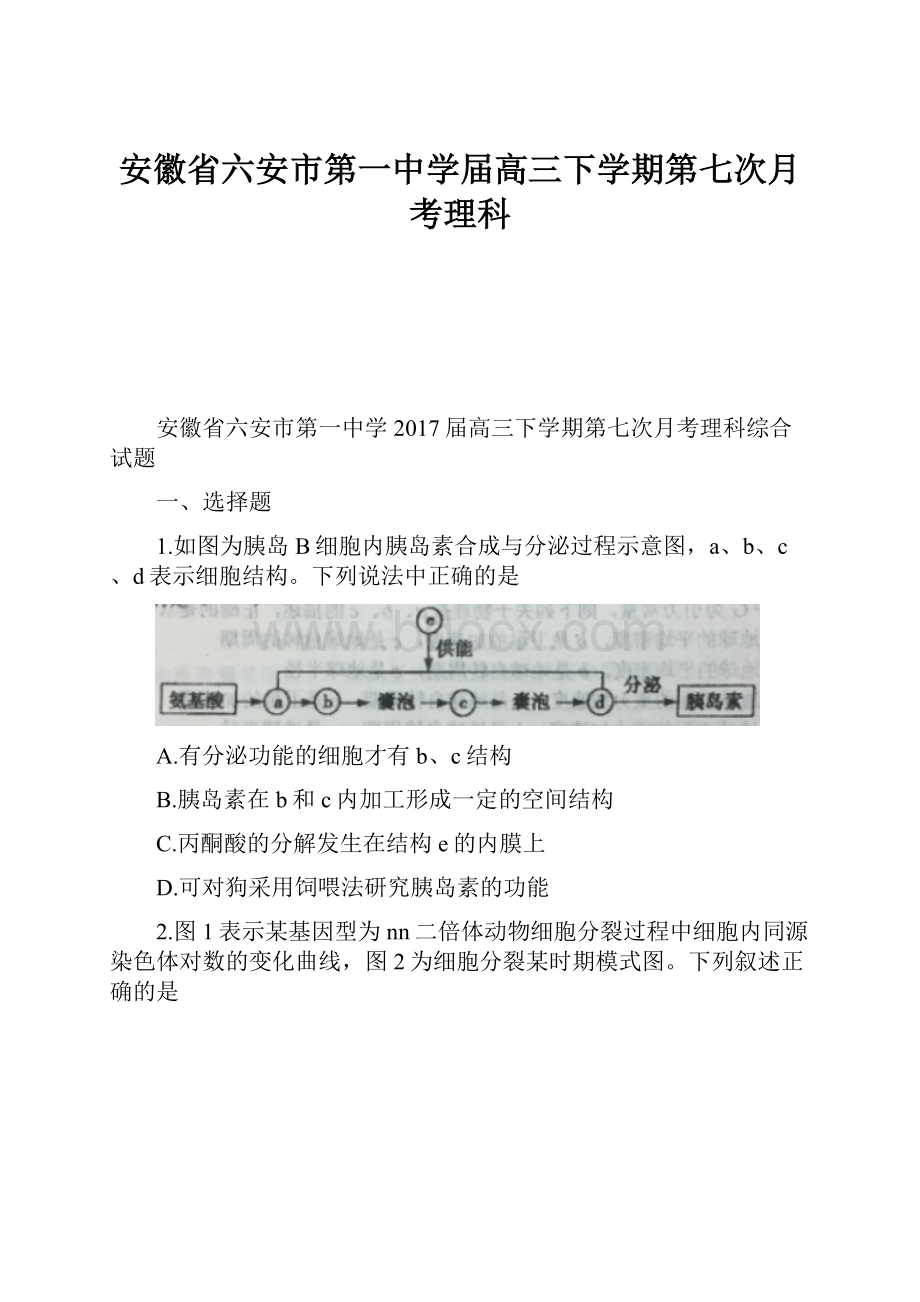 安徽省六安市第一中学届高三下学期第七次月考理科Word文档格式.docx