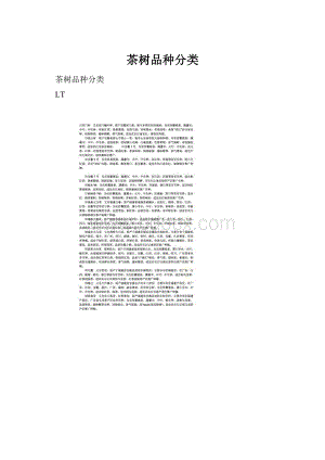 茶树品种分类Word格式.docx