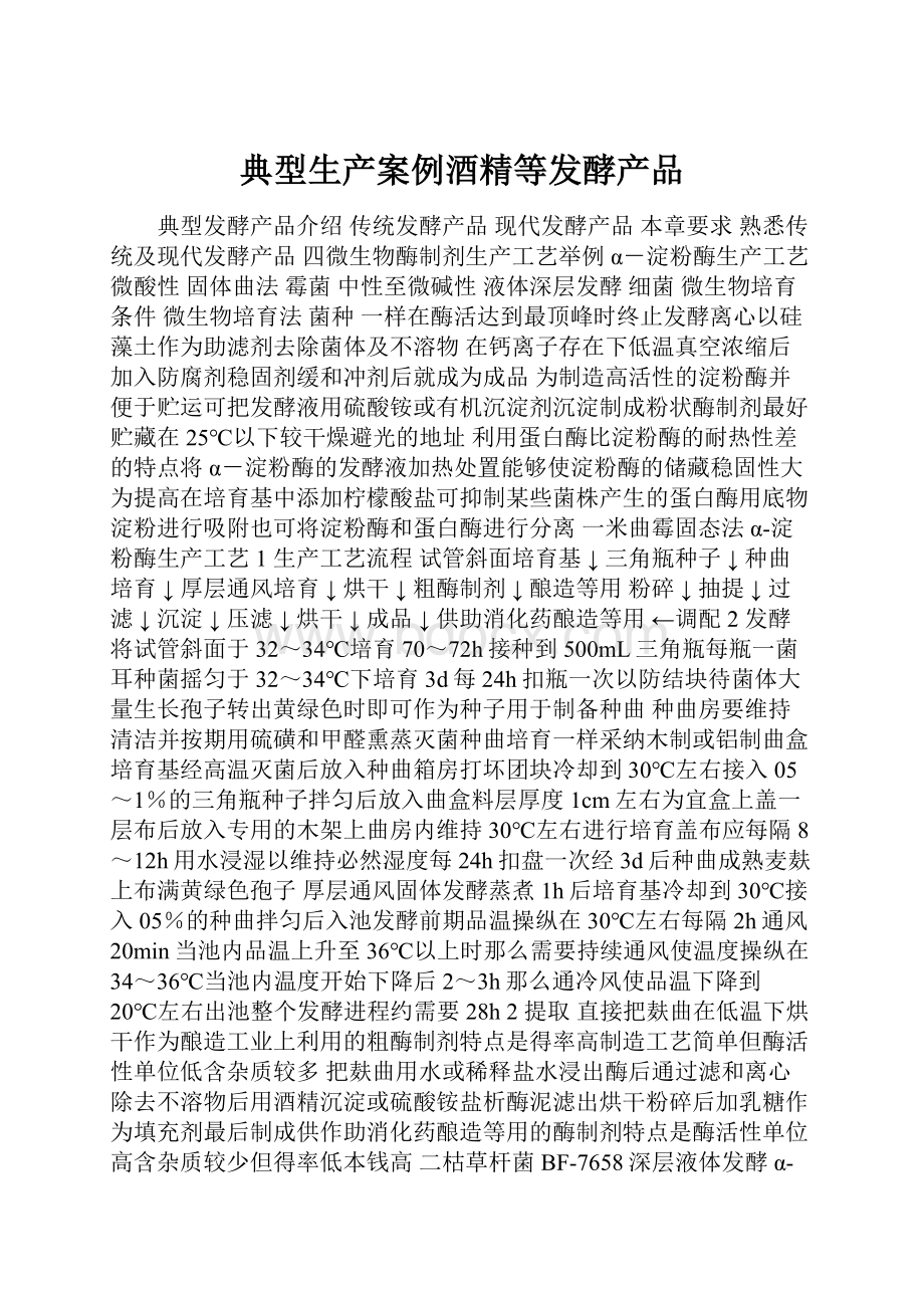 典型生产案例酒精等发酵产品Word格式文档下载.docx