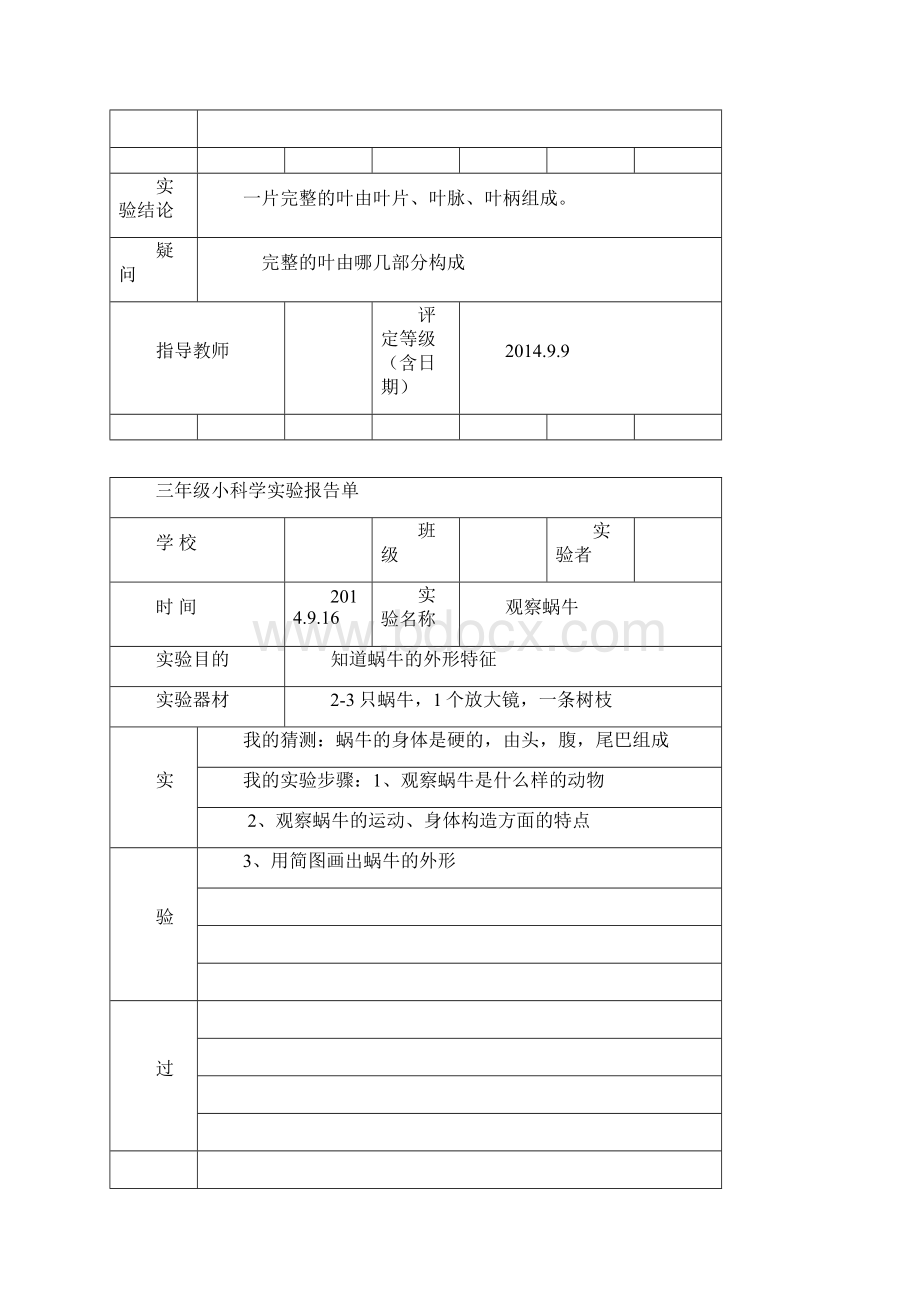 最新教科版三年级上册科学实验报告单.docx_第3页