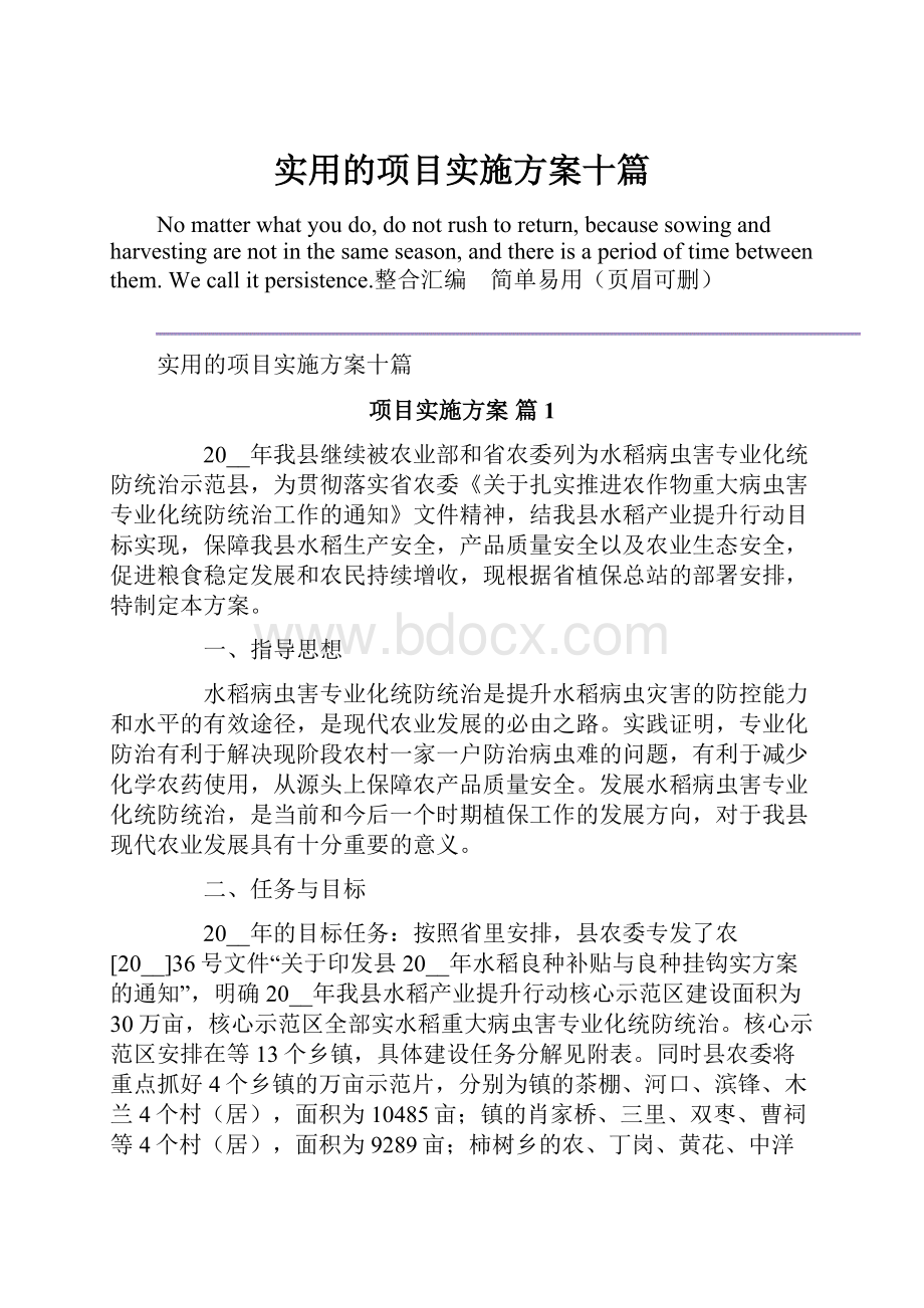 实用的项目实施方案十篇.docx_第1页