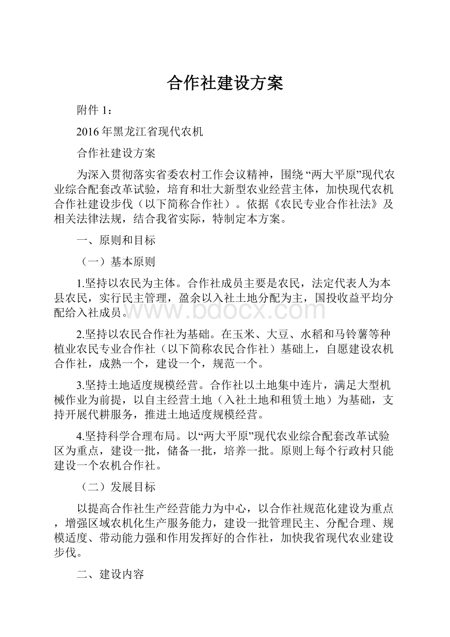 合作社建设方案文档格式.docx