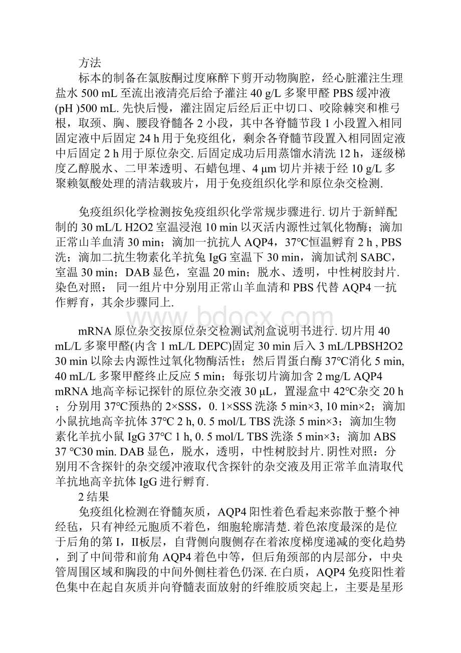 新西兰兔脊髓内水通道蛋白.docx_第2页