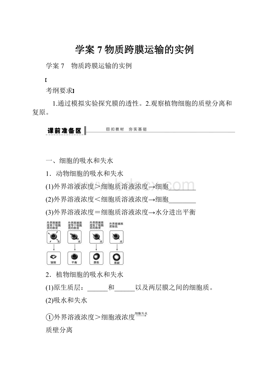 学案7物质跨膜运输的实例Word格式文档下载.docx_第1页