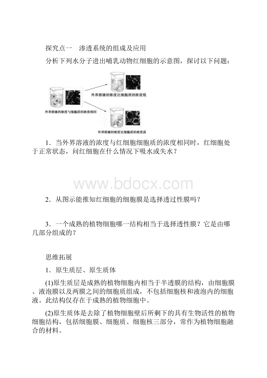 学案7物质跨膜运输的实例Word格式文档下载.docx_第3页