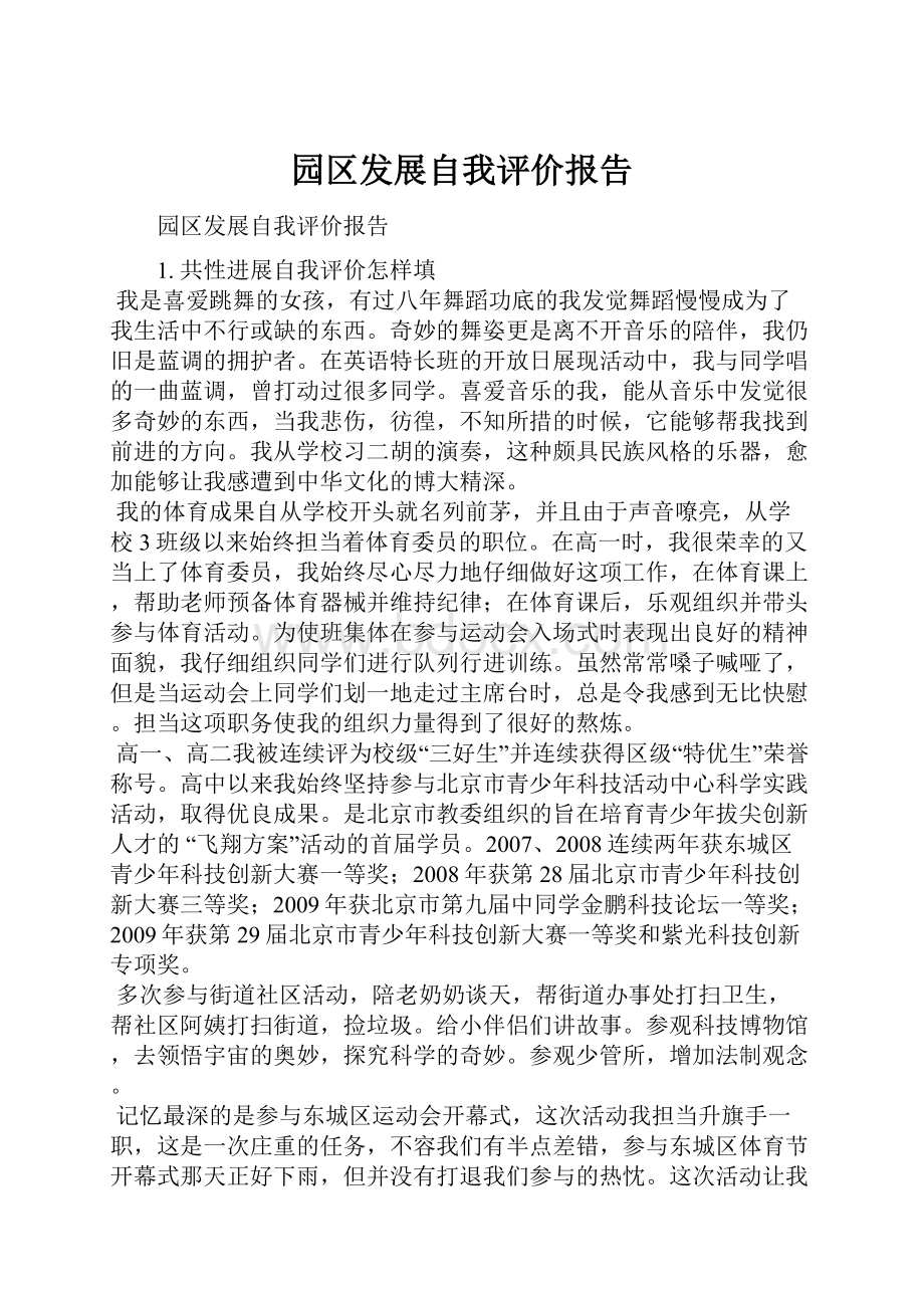 园区发展自我评价报告Word文档下载推荐.docx