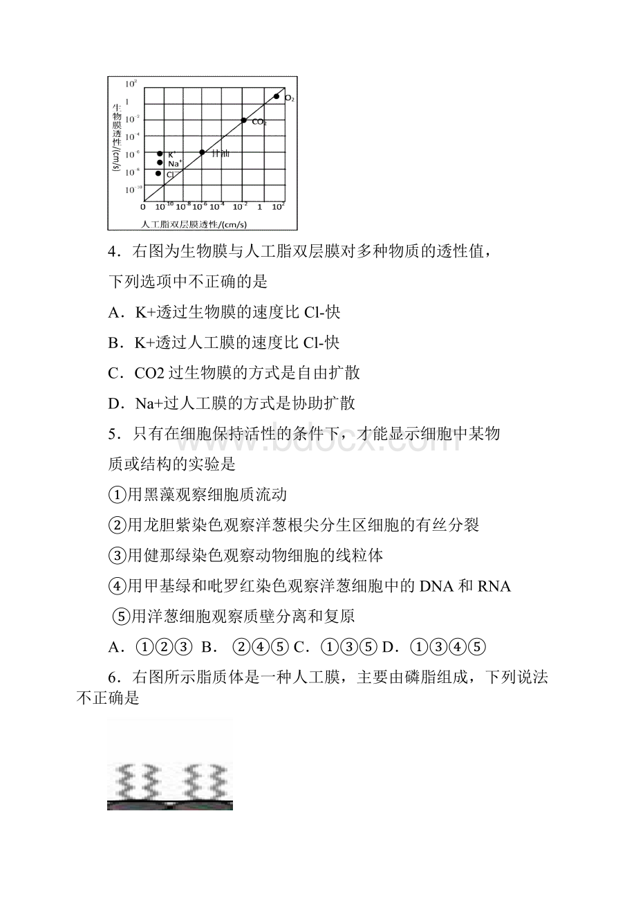 北京四中届高三上学期期中测验生物试题Word格式.docx_第2页