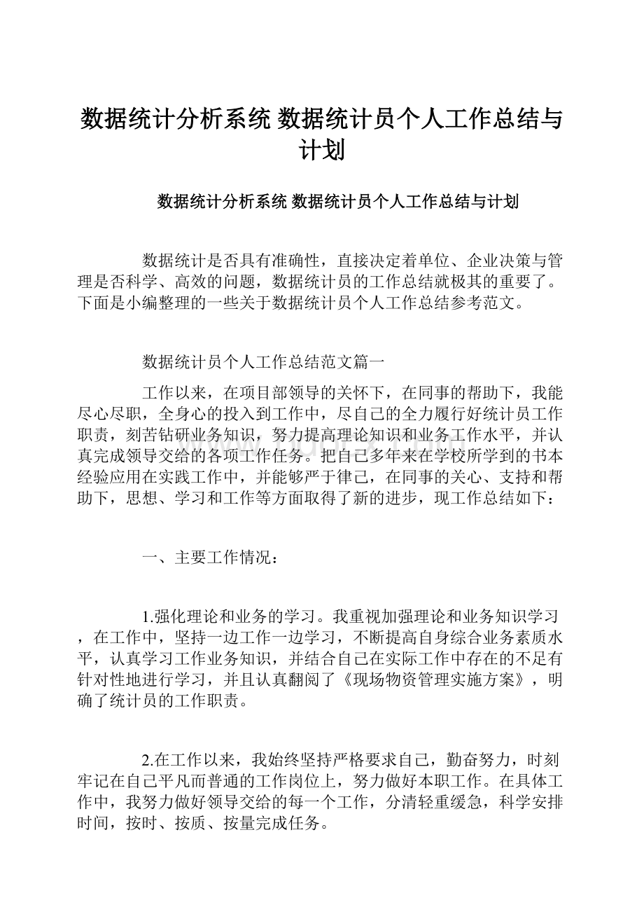 数据统计分析系统 数据统计员个人工作总结与计划.docx_第1页