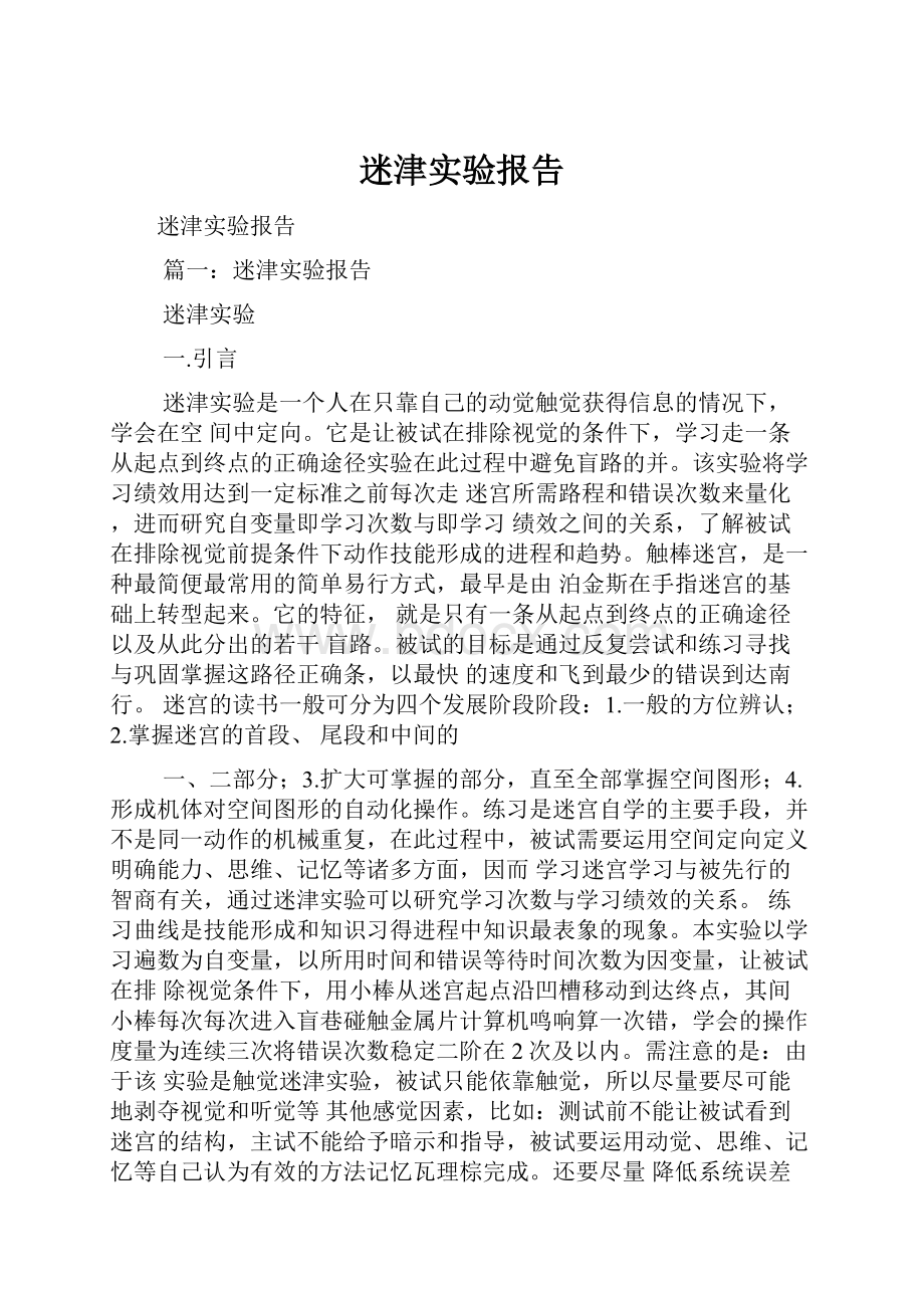 迷津实验报告Word格式文档下载.docx