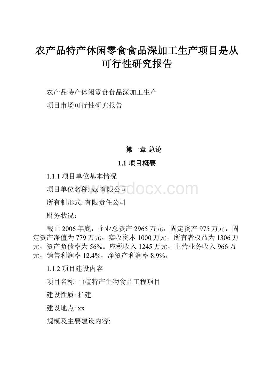 农产品特产休闲零食食品深加工生产项目是从可行性研究报告Word格式.docx