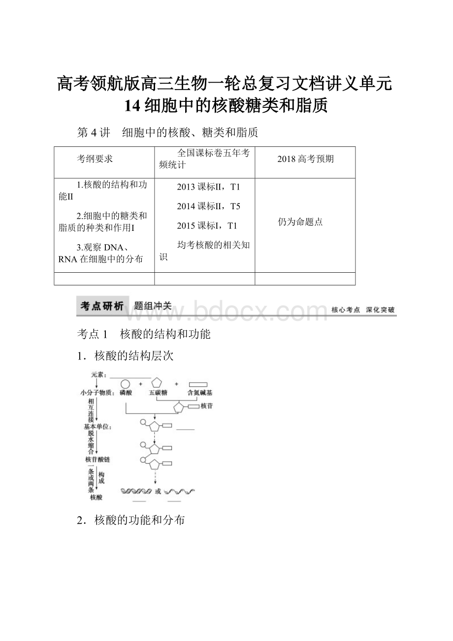 高考领航版高三生物一轮总复习文档讲义单元14细胞中的核酸糖类和脂质.docx_第1页