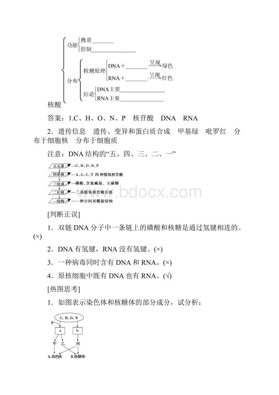 高考领航版高三生物一轮总复习文档讲义单元14细胞中的核酸糖类和脂质.docx_第2页