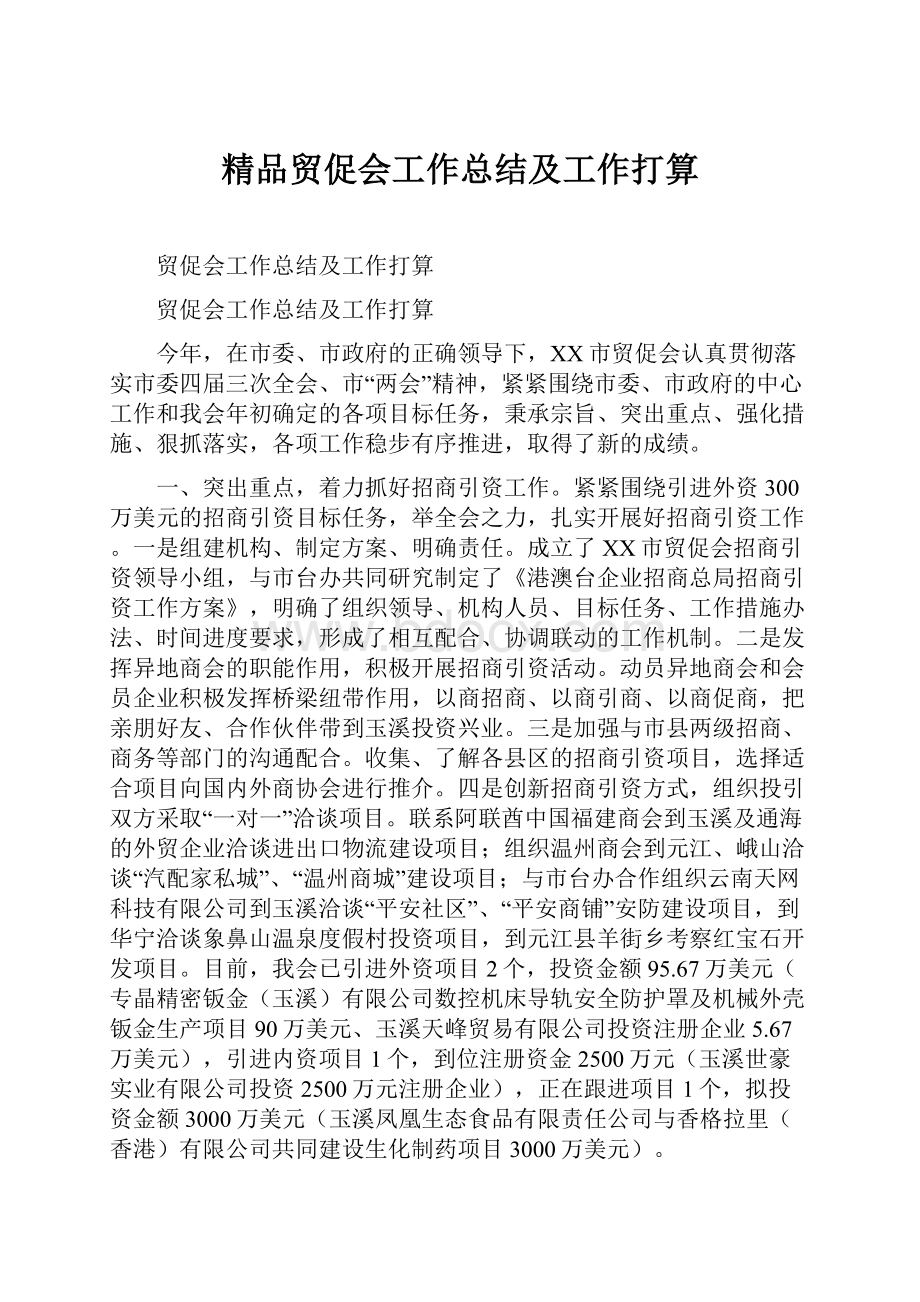 精品贸促会工作总结及工作打算.docx