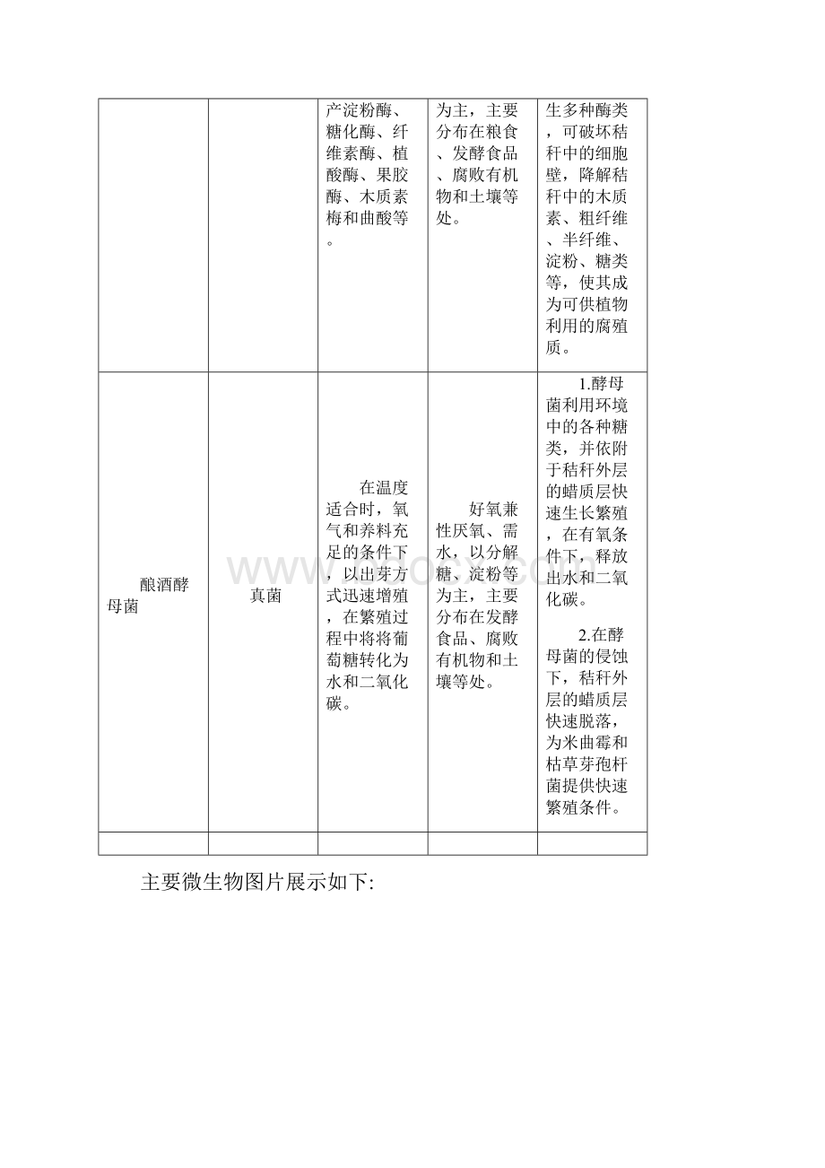 满园春生物发酵剂资料1.docx_第3页