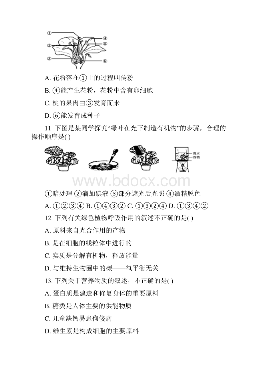 初中生物学业水平考试模拟卷.docx_第3页