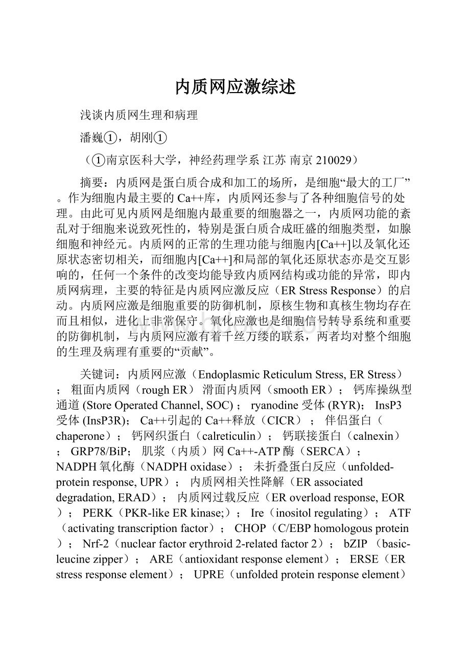 内质网应激综述Word文件下载.docx