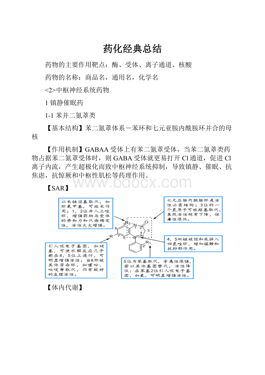 药化经典总结.docx_第1页