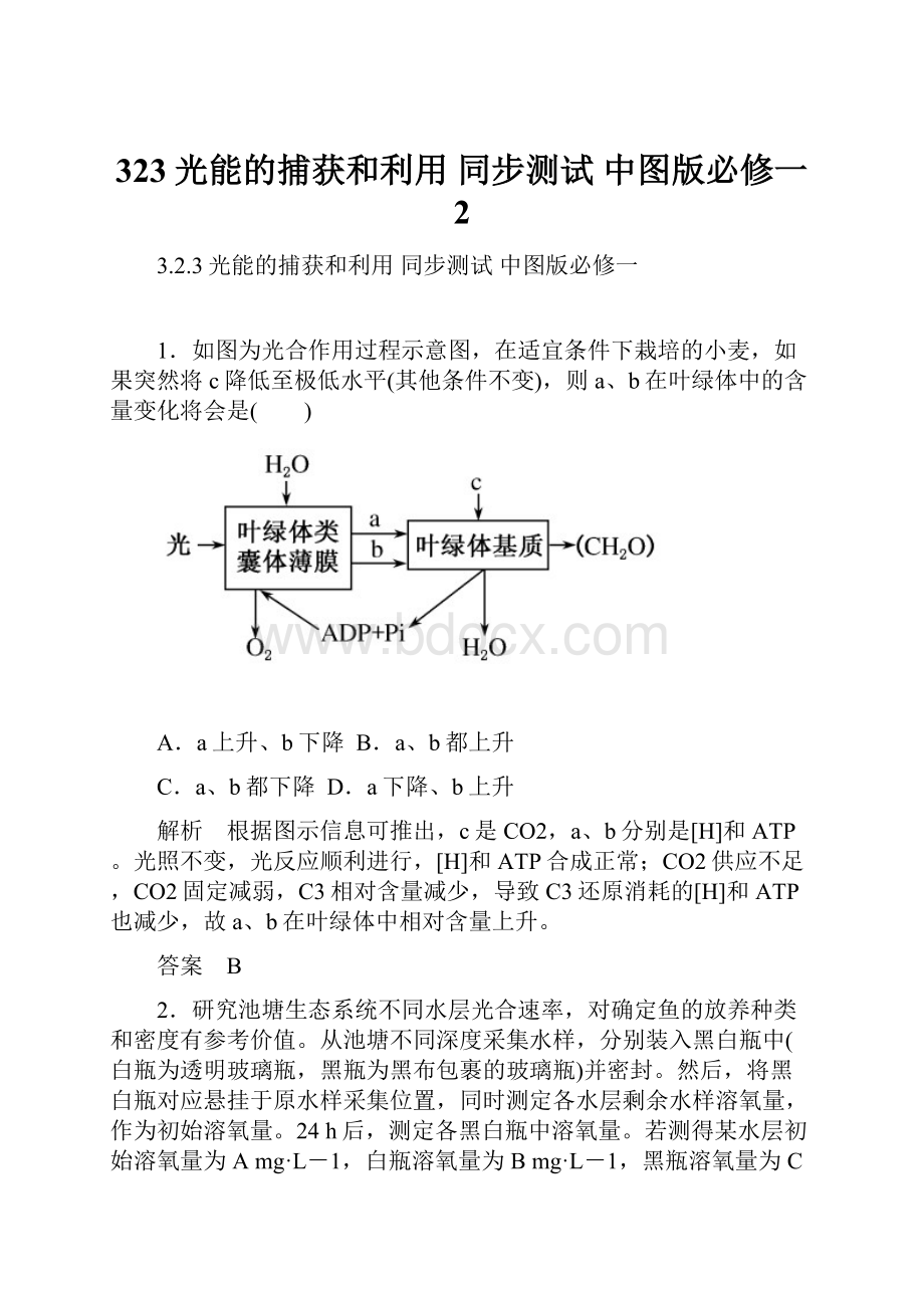 323光能的捕获和利用 同步测试 中图版必修一 2Word格式.docx