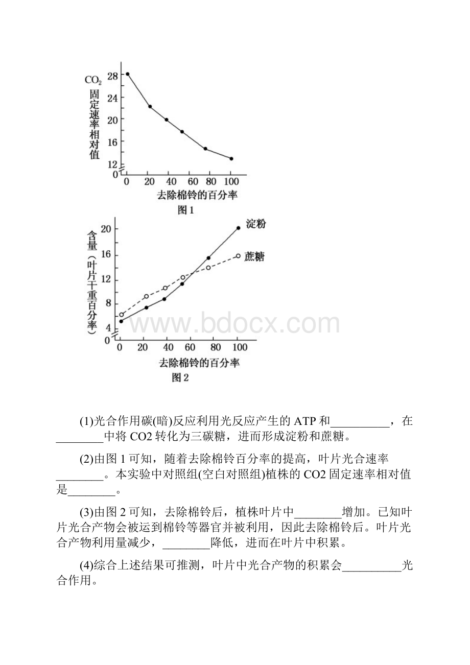 323光能的捕获和利用 同步测试 中图版必修一 2Word格式.docx_第3页