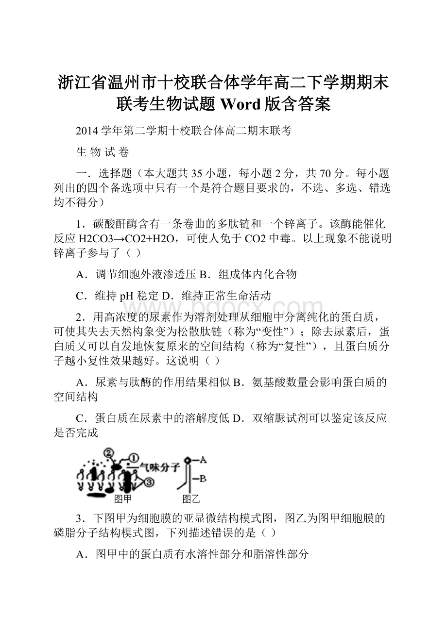 浙江省温州市十校联合体学年高二下学期期末联考生物试题 Word版含答案.docx