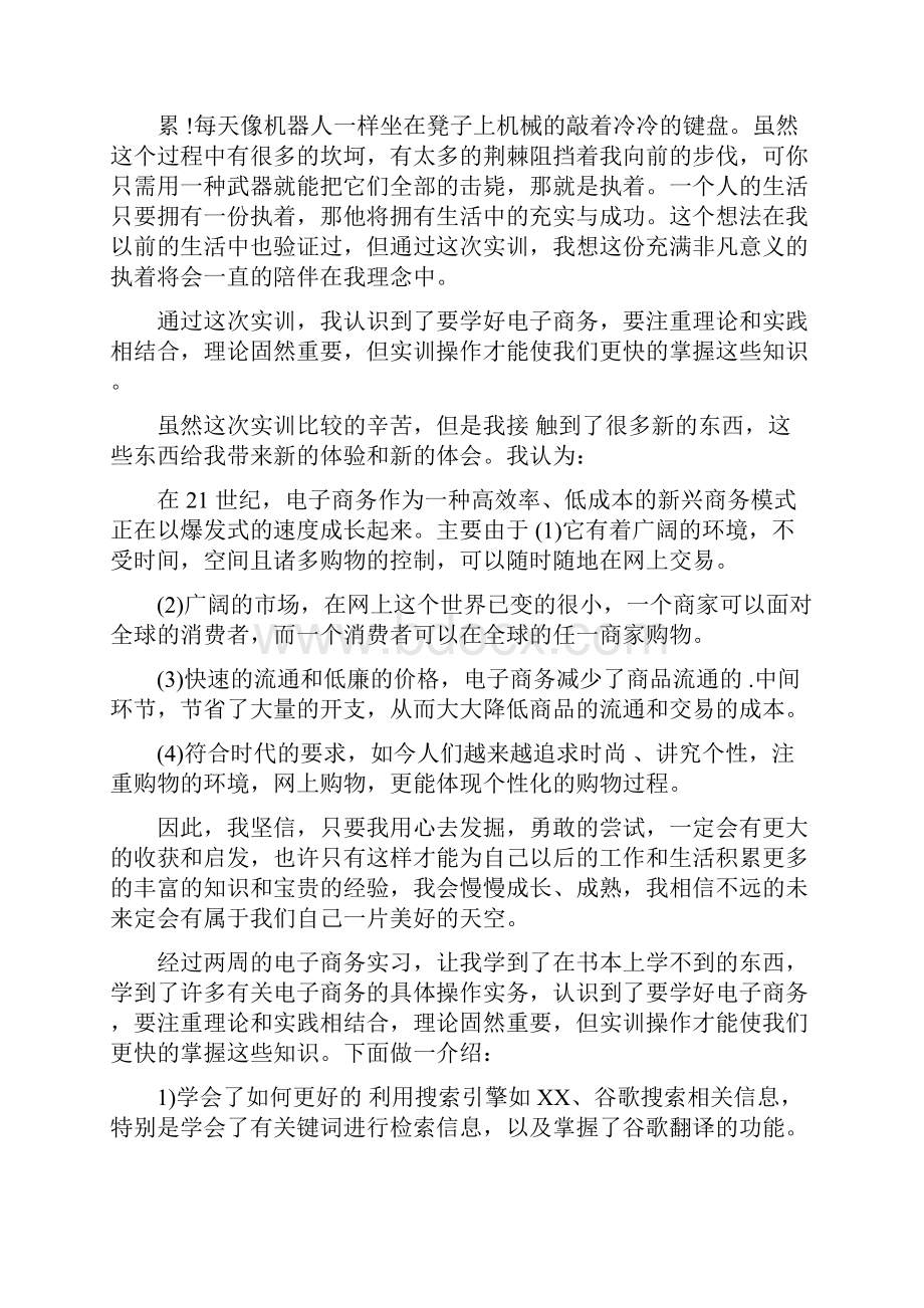 电子商务实习的心得体会Word下载.docx_第2页