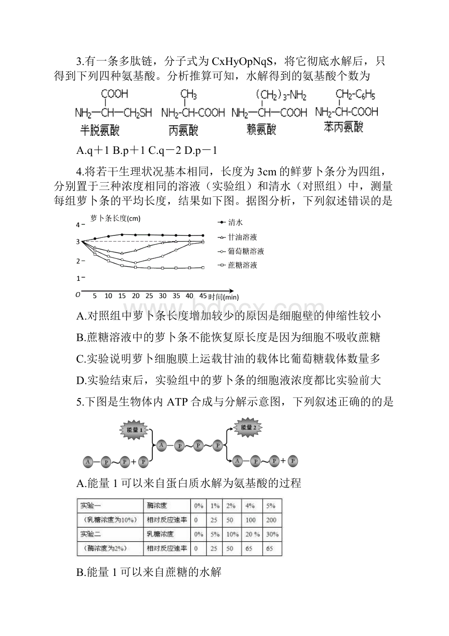 安徽省马鞍山二中安师大附中届高三上统考生物试题及答案Word下载.docx_第2页