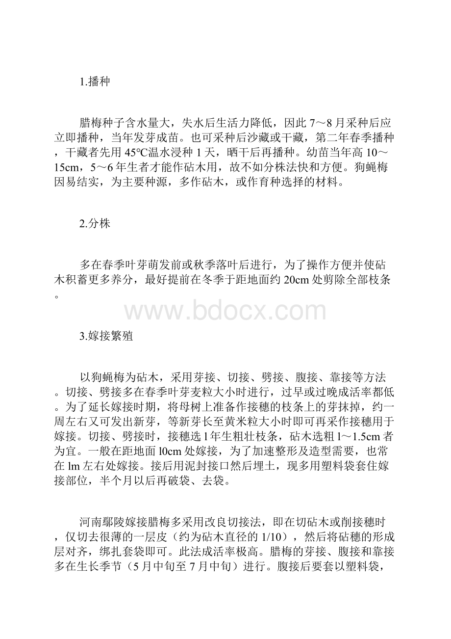 腊梅种子怎样种好.docx_第2页