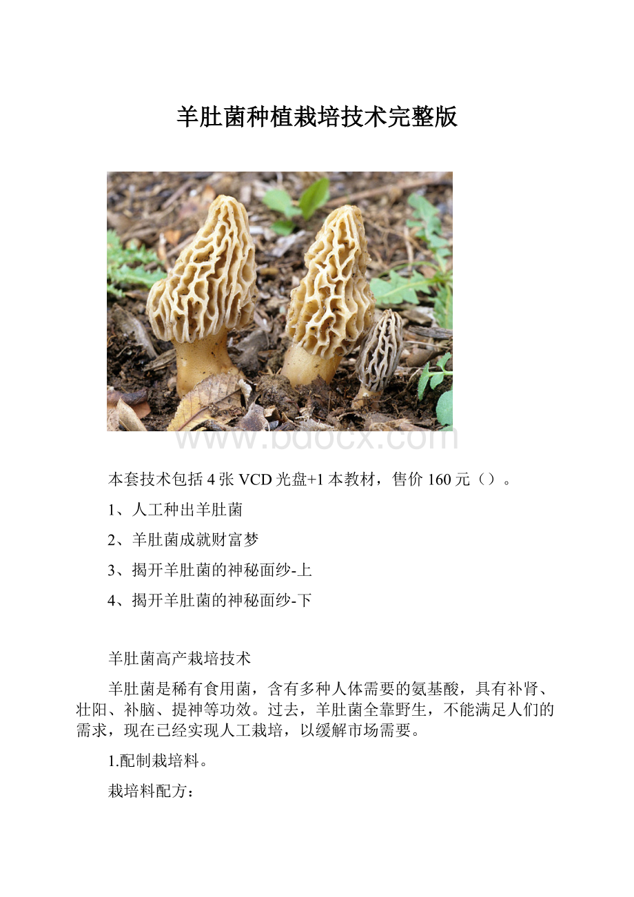 羊肚菌种植栽培技术完整版.docx