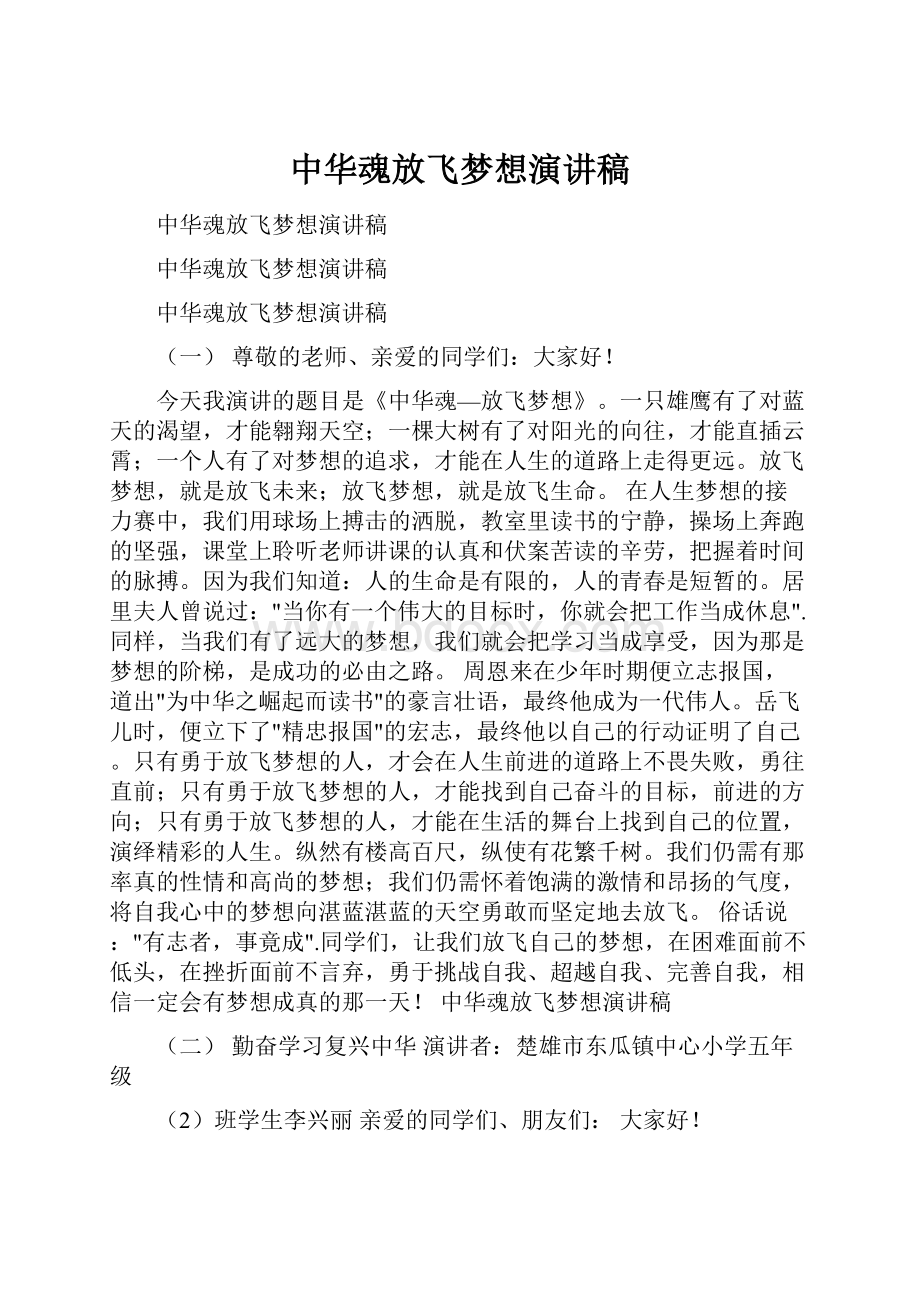 中华魂放飞梦想演讲稿Word文档下载推荐.docx