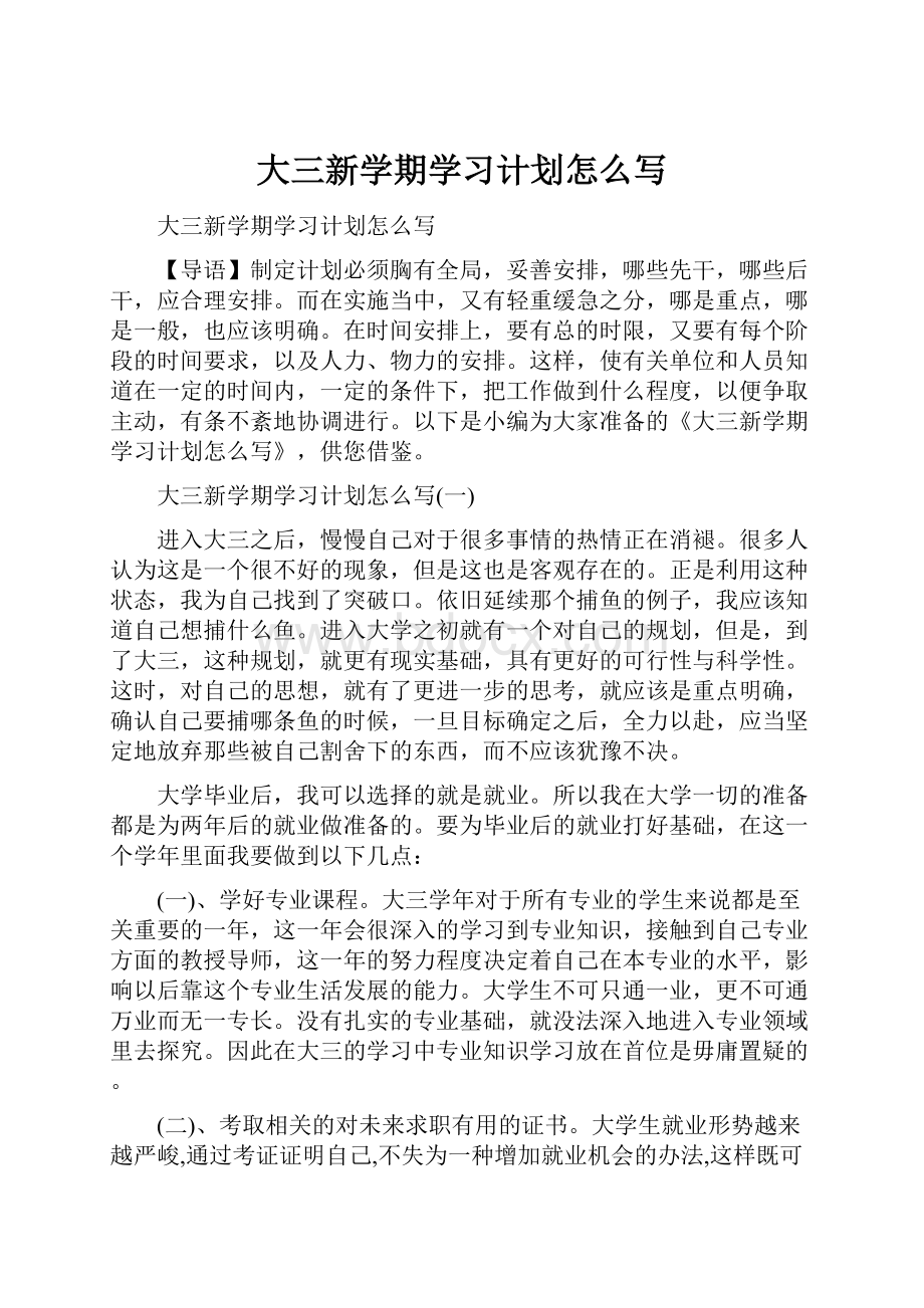 大三新学期学习计划怎么写Word文档格式.docx