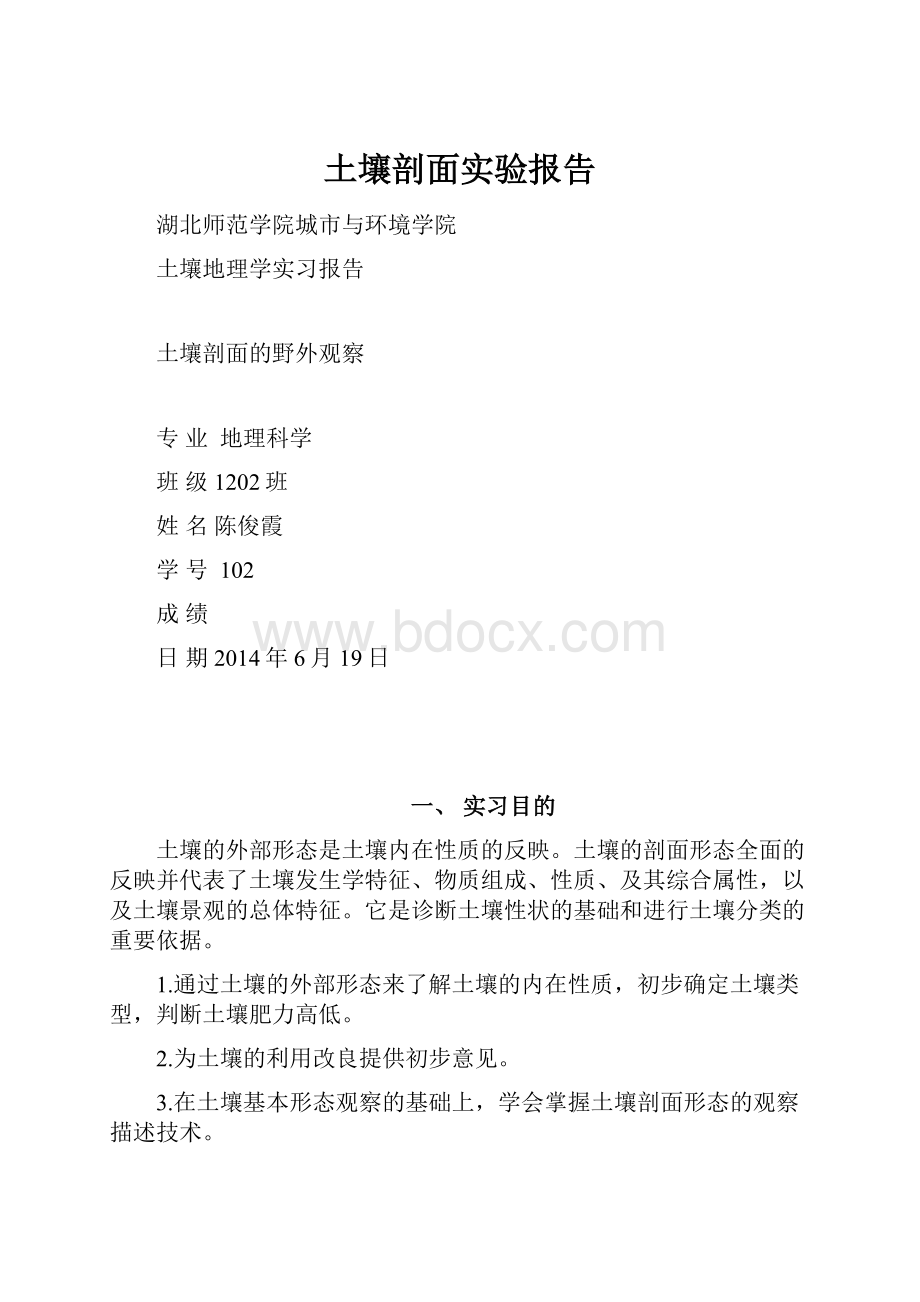 土壤剖面实验报告文档格式.docx_第1页