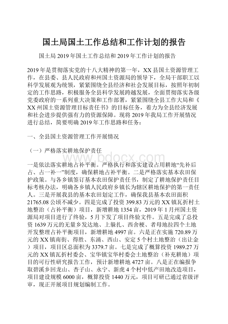 国土局国土工作总结和工作计划的报告.docx