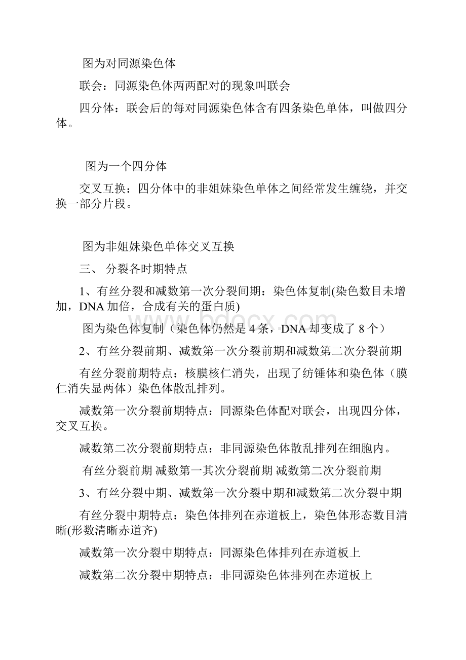 减数分裂和有丝分裂异同Word文档下载推荐.docx_第2页