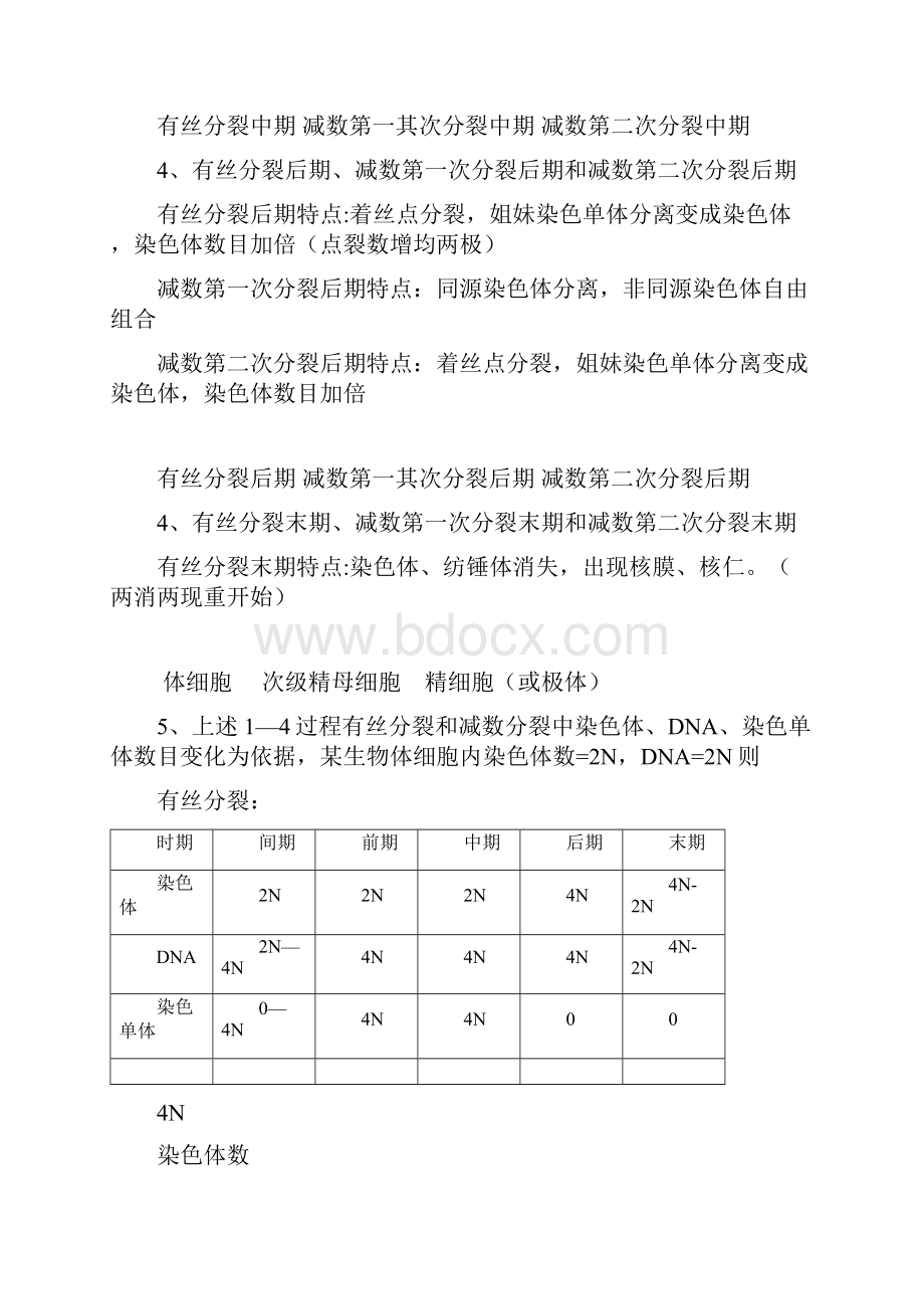 减数分裂和有丝分裂异同Word文档下载推荐.docx_第3页