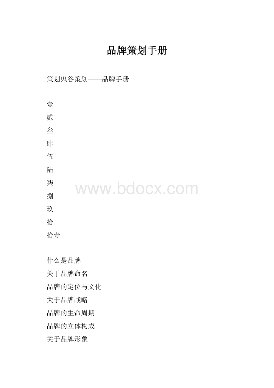 品牌策划手册Word文档格式.docx_第1页