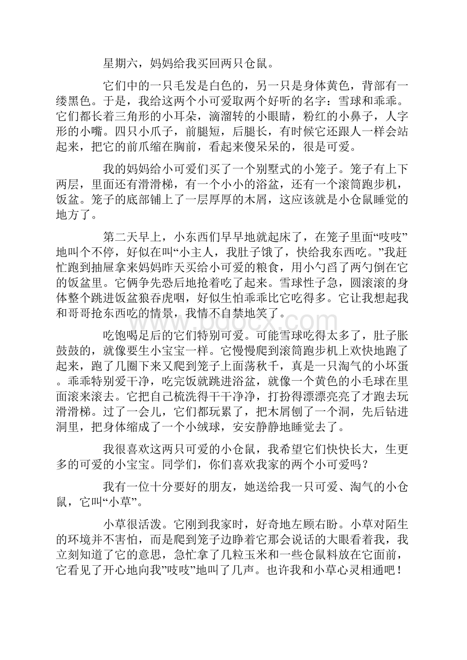 可爱的小仓鼠作文15篇.docx_第2页