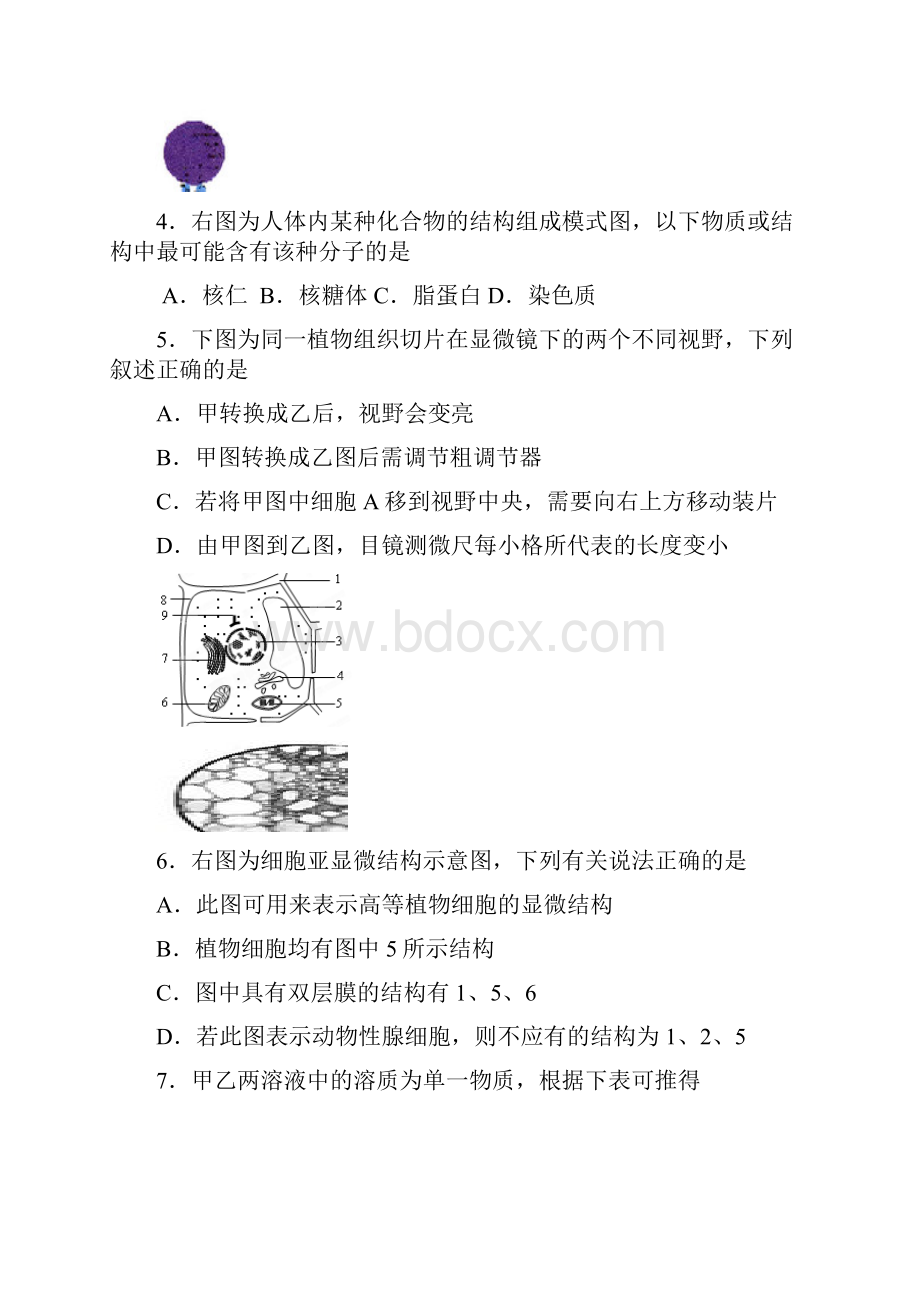 高三上学期期末教学质量调研考试一模生命科学试题 含答案.docx_第2页