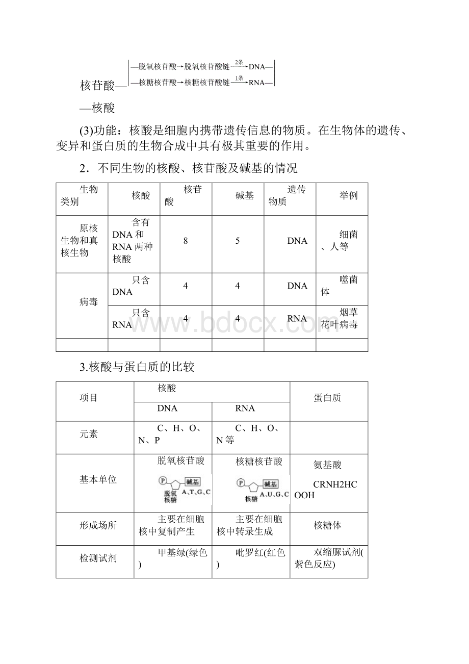 届高考生物大一轮总复习 第一单元细胞中的糖类和脂质Word格式文档下载.docx_第2页