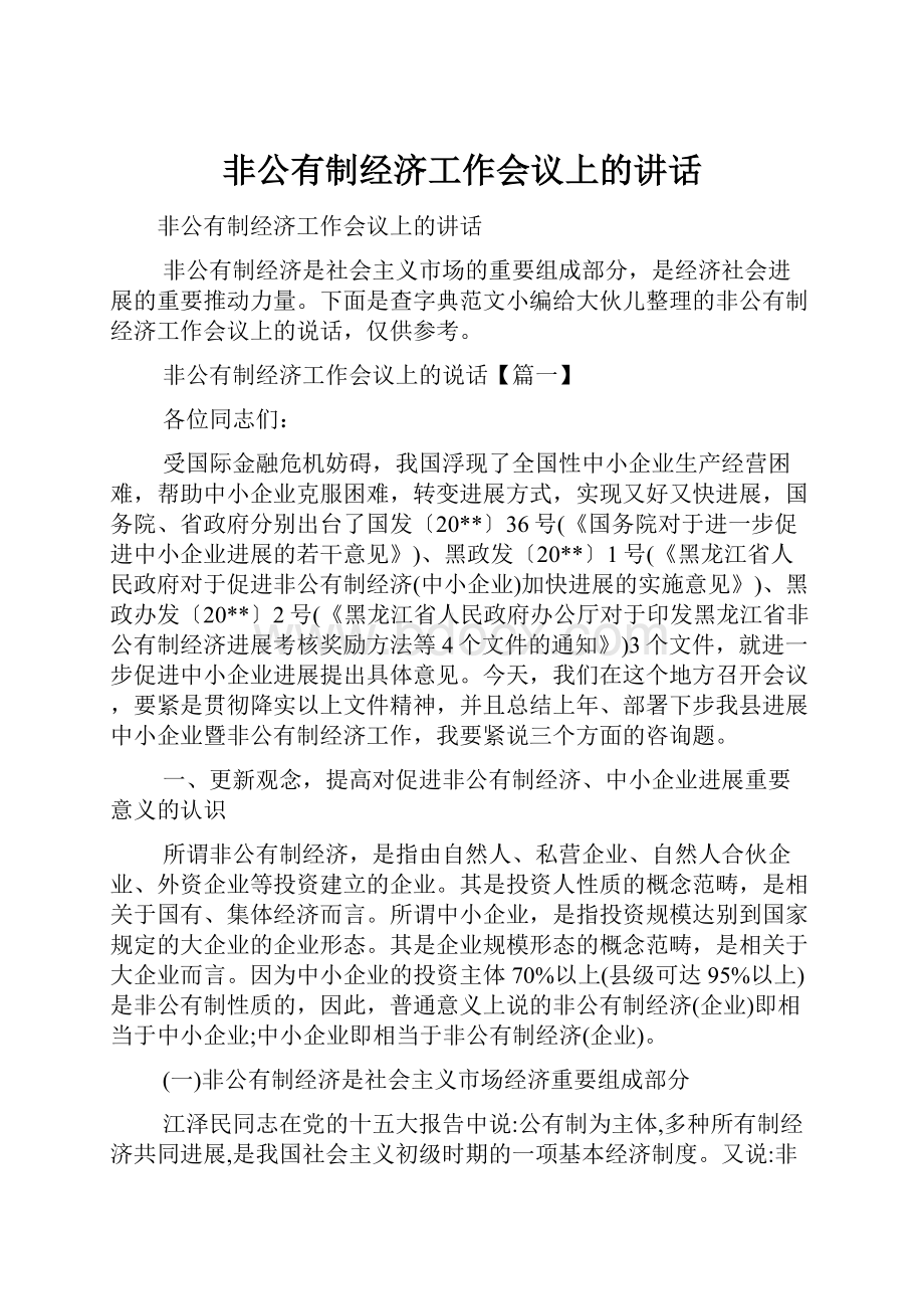 非公有制经济工作会议上的讲话.docx